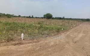 Trust Us With Your Land Ownership Because We Are the Best