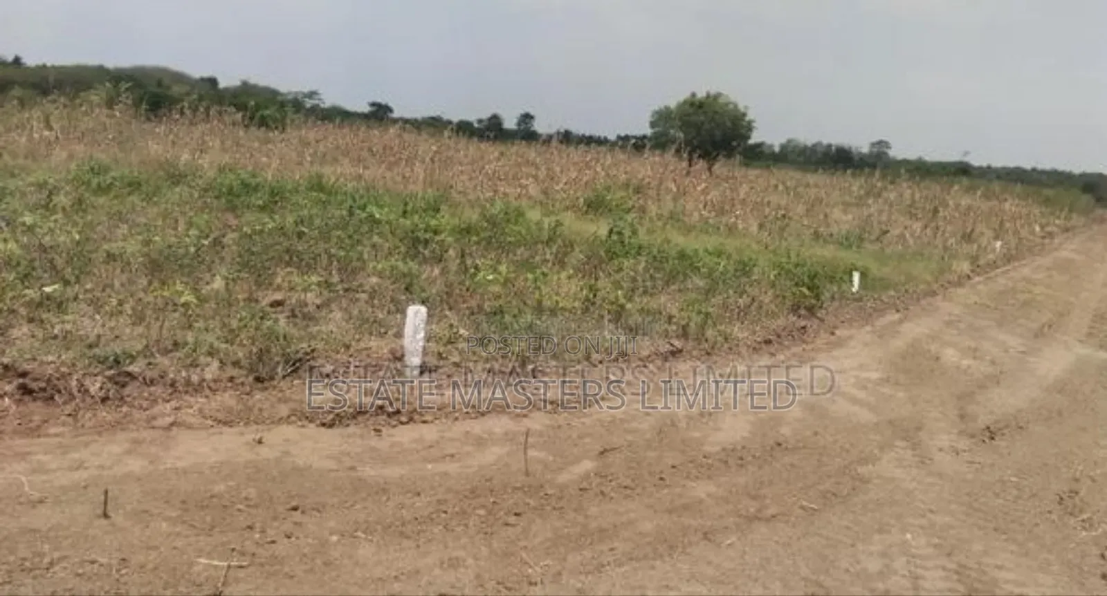 Trust Us With Your Land Ownership Because We Are the Best
