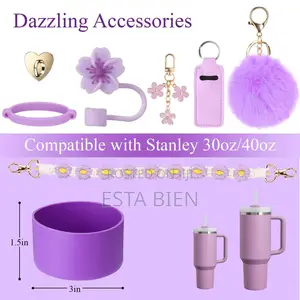 Stanley Cup Accessories
