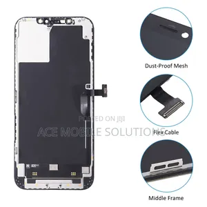 iPhone 12 Pro Max Screen