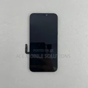 iPhone 12 Pro Screen