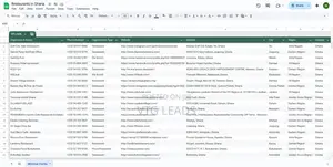 Buy Targeted Business Contact Lists for Bulk SMS or Calls