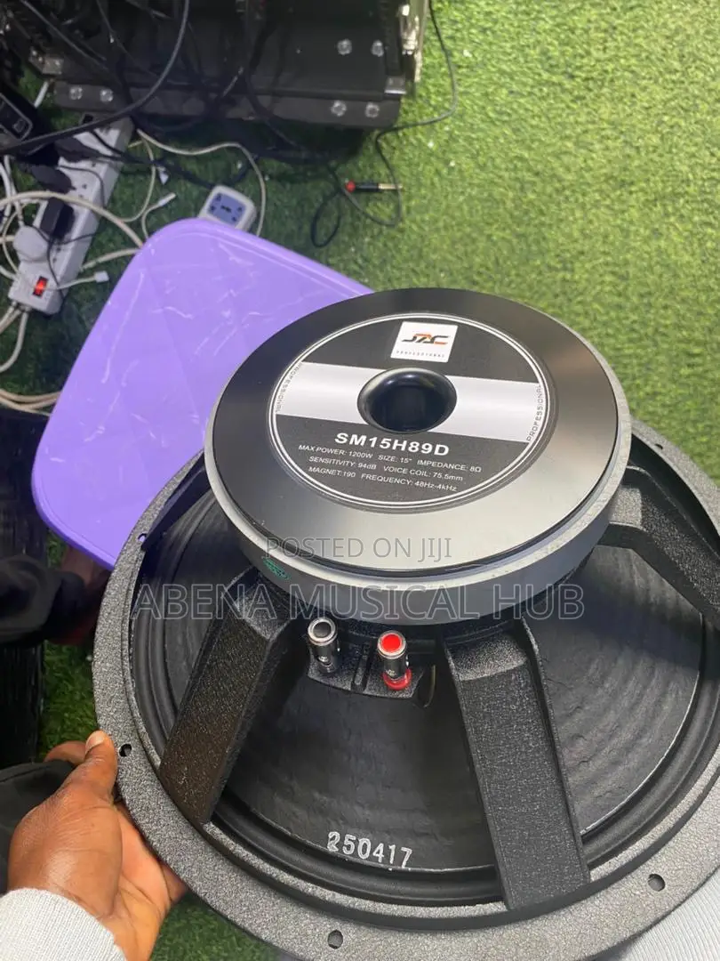 Jac 15 Inches Naked Speaker (1,200 Watts) Pair