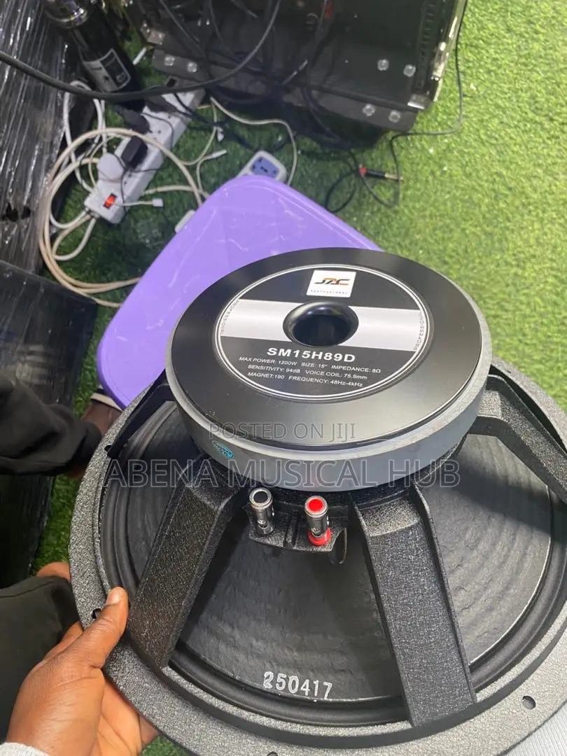 Jac 15 Inches Naked Speaker (1,200 Watts) Pair