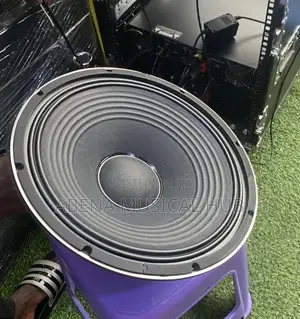 Jac 15 Inches Naked Speaker (1,200 Watts) Pair
