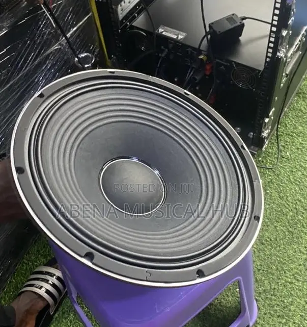 Jac 15 Inches Naked Speaker (1,200 Watts) Pair