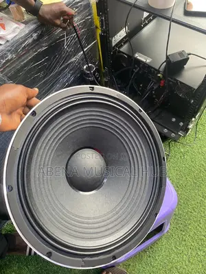 Jac 15 Inches Naked Speaker (1,200 Watts) Pair