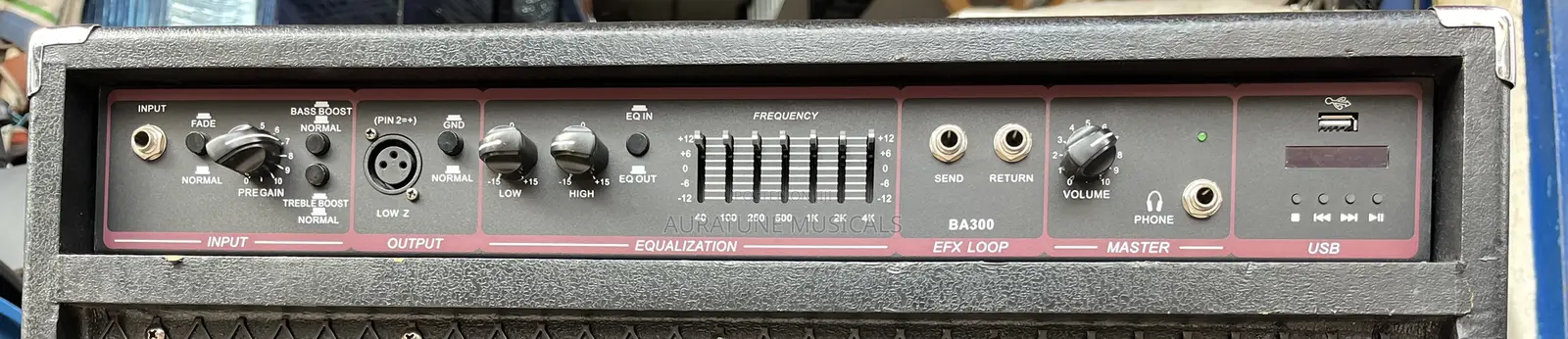 Peavey Ba300 300-watt Bass Amp Combo