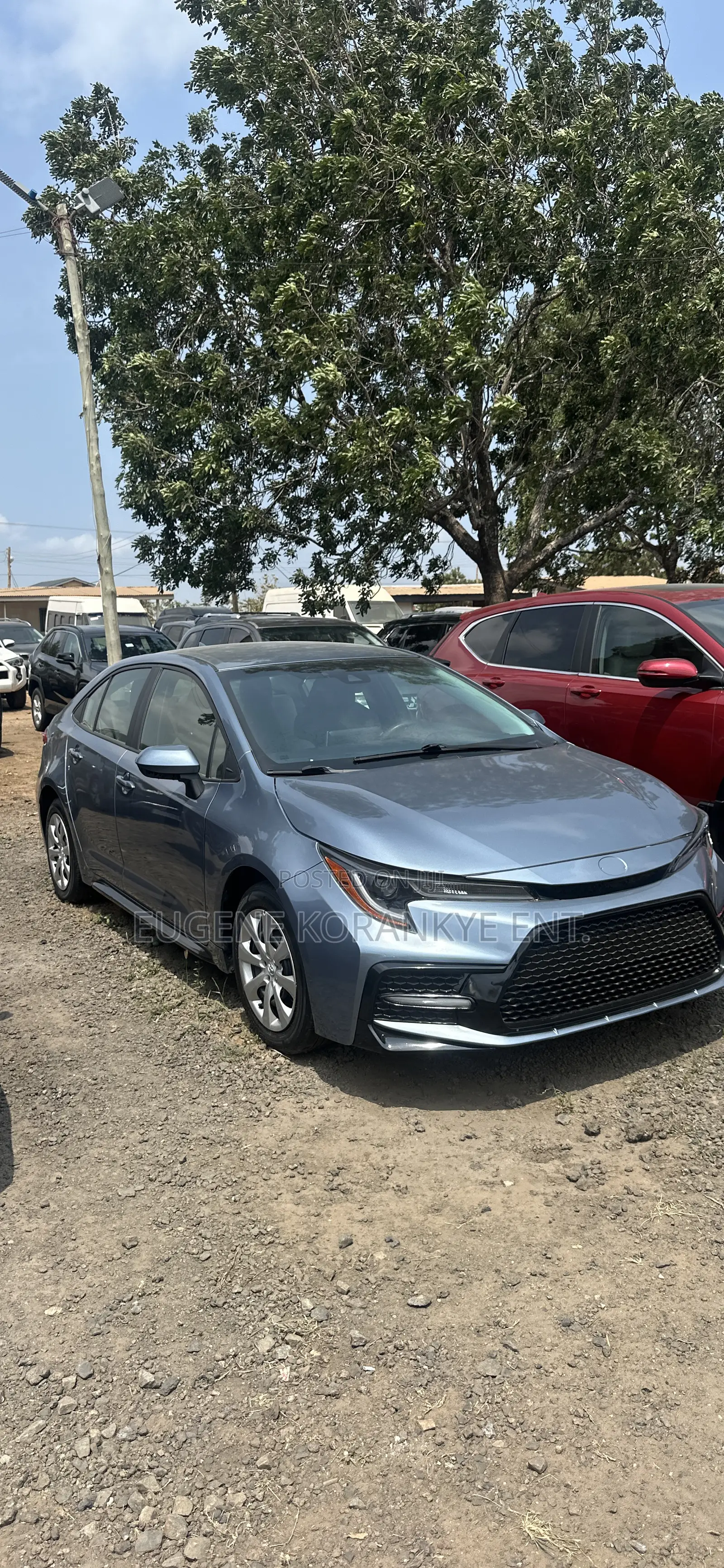Toyota Corolla LE 2021 Blue