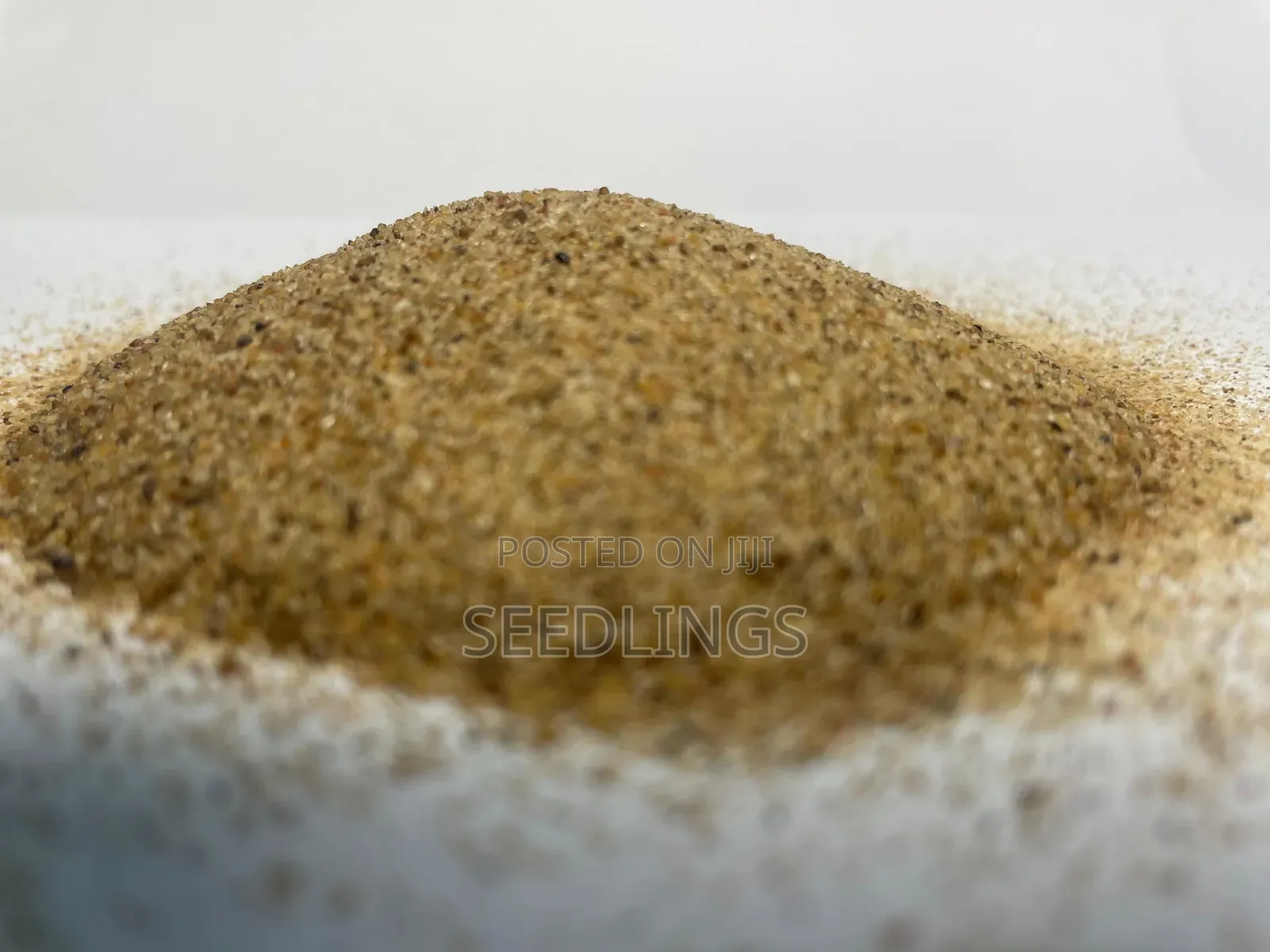 Quartz/Silica Sand