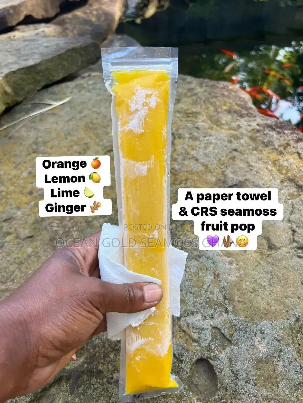 Seamoss Popsicles