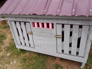 Quality Nice Dog Cage Available.