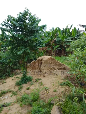 A Plot of Land for Sale