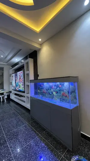 Mr Grey Aquarium With 15 Fishes