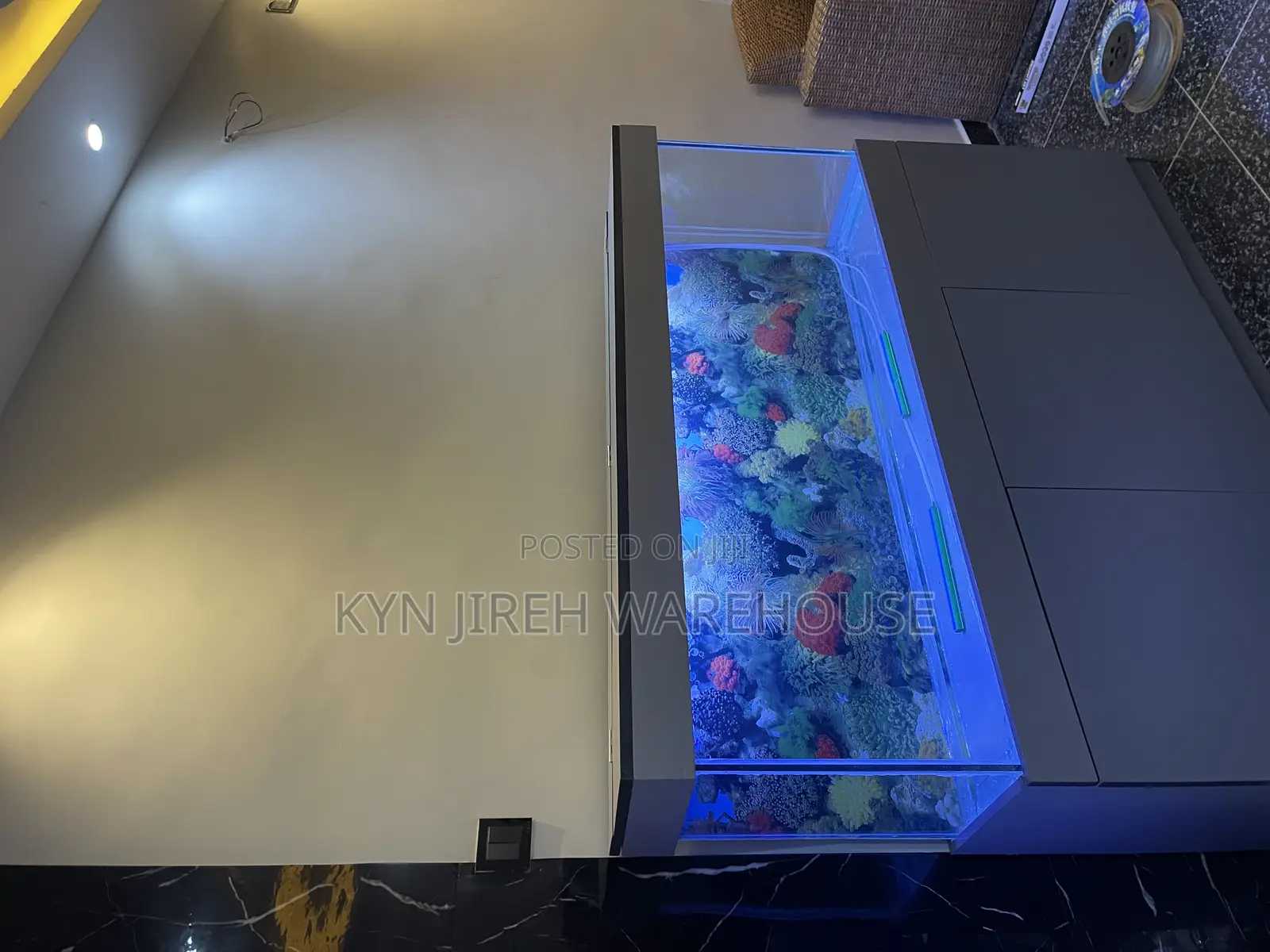 Mr Grey Aquarium With 15 Fishes