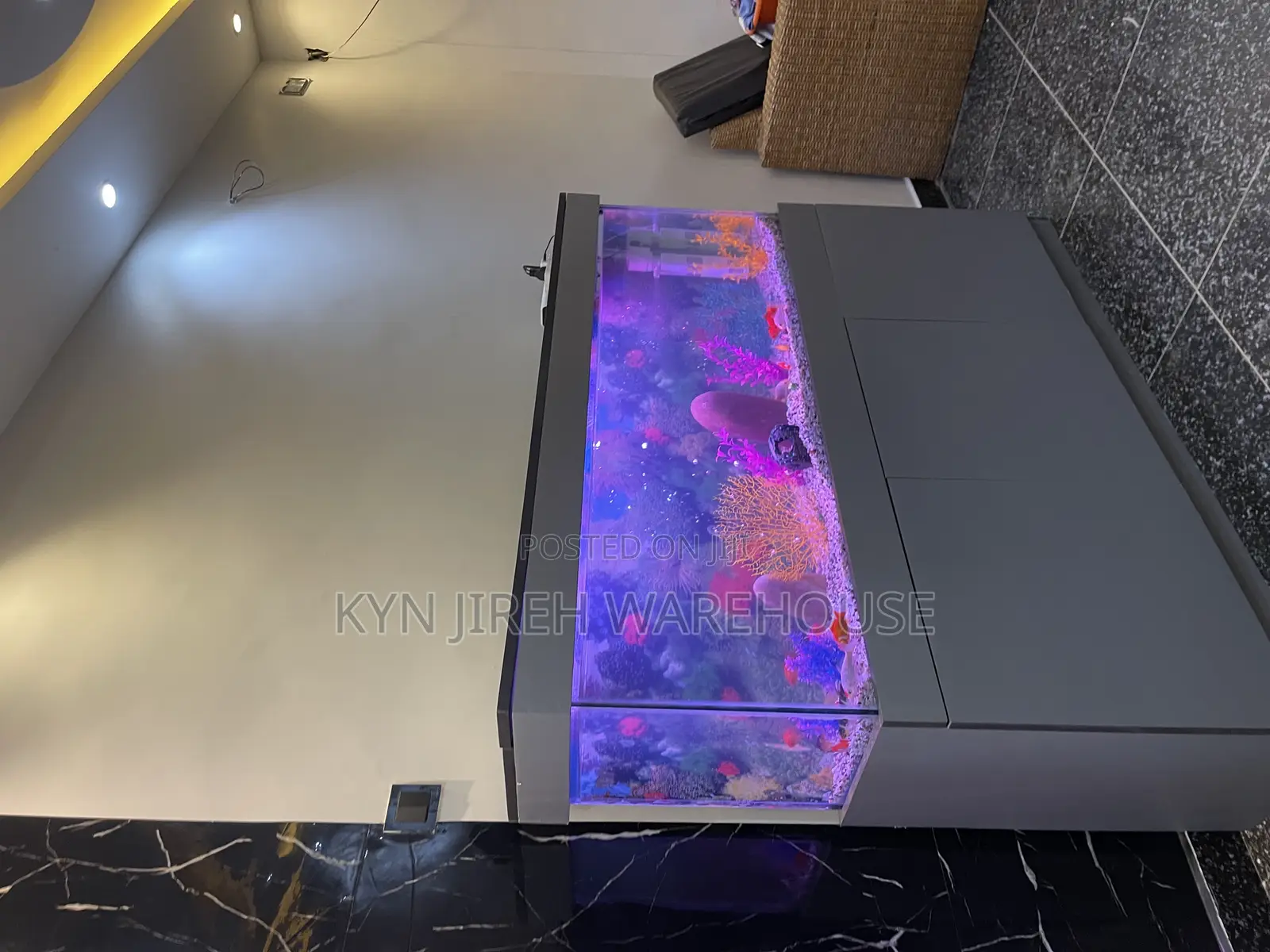 Mr Grey Aquarium With 15 Fishes