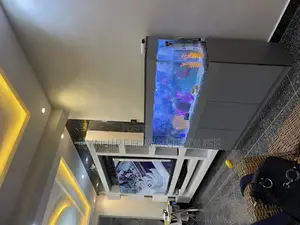 Mr Grey Aquarium With 15 Fishes