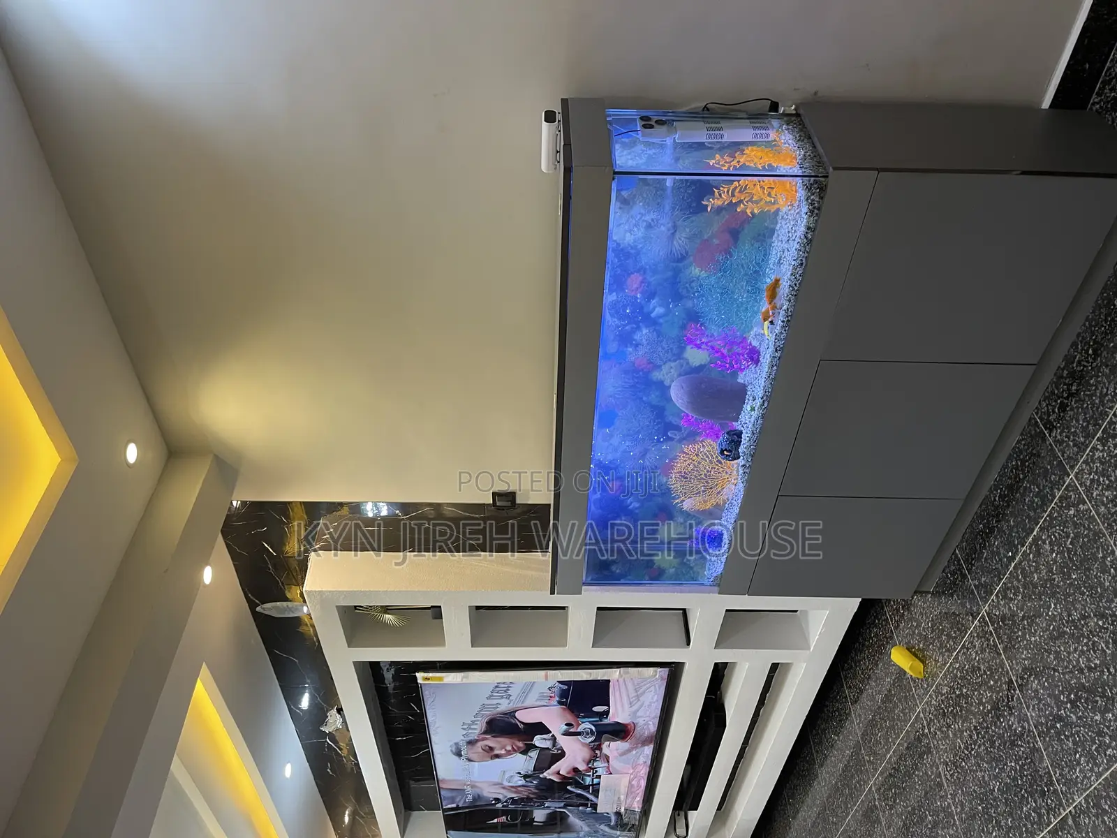 Mr Grey Aquarium With 15 Fishes