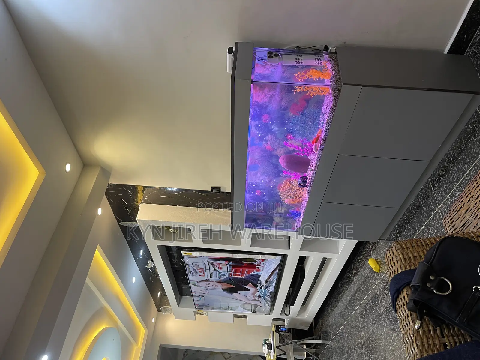 Mr Grey Aquarium With 15 Fishes