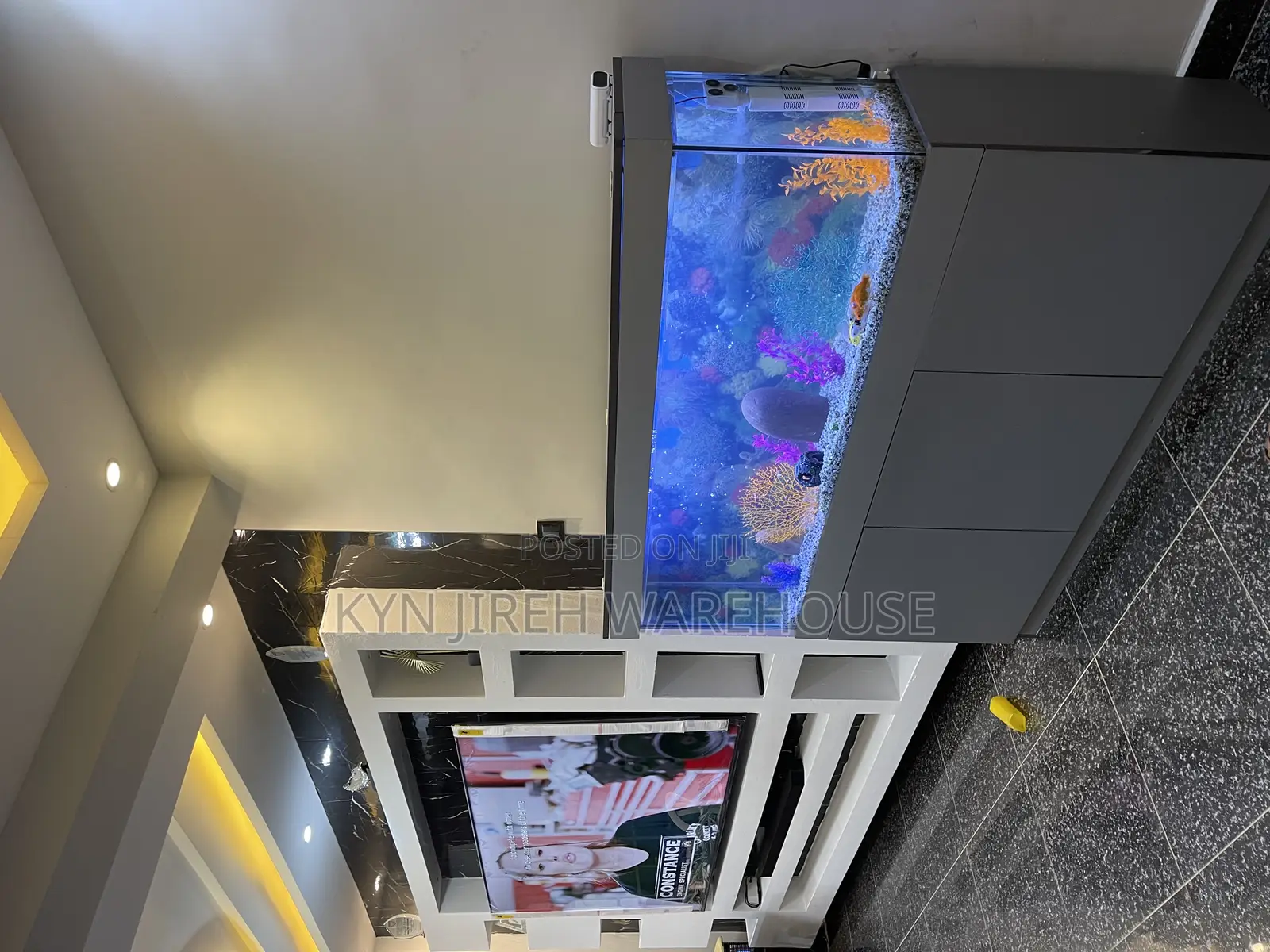 Mr Grey Aquarium With 15 Fishes