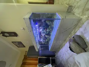Hon Aquarium With 15 Live Fishes
