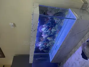 Hon Aquarium With 15 Live Fishes