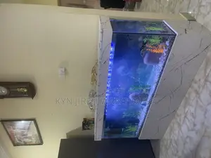 Hon Aquarium With 15 Live Fishes