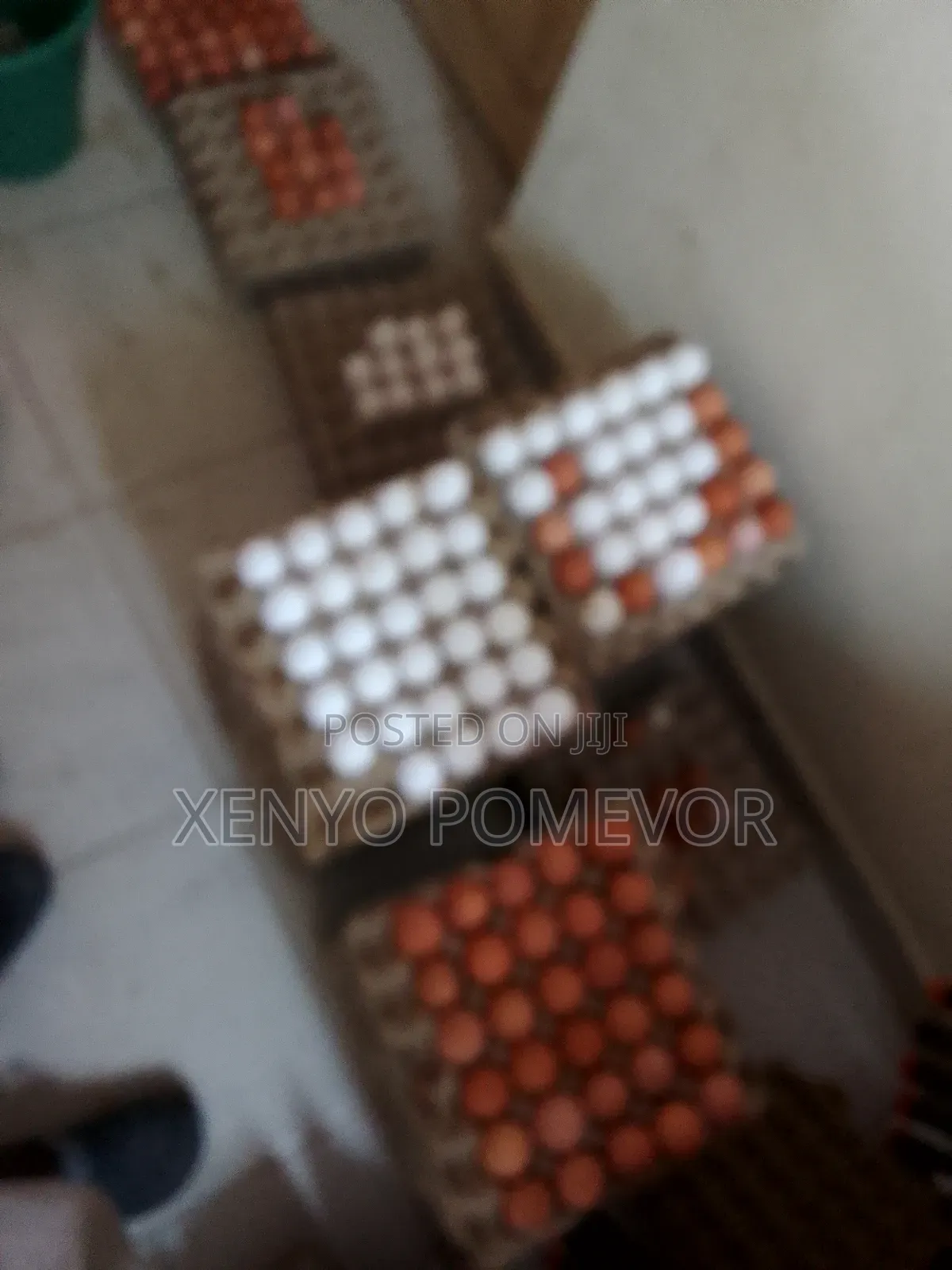 Fresh Eggs for Sale