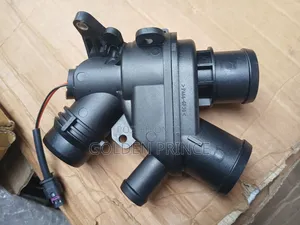 Range Rover Sports 015-18 Thermostat