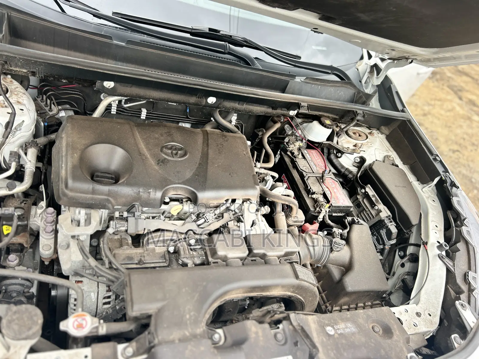 Toyota RAV4 XLE 2021 White
