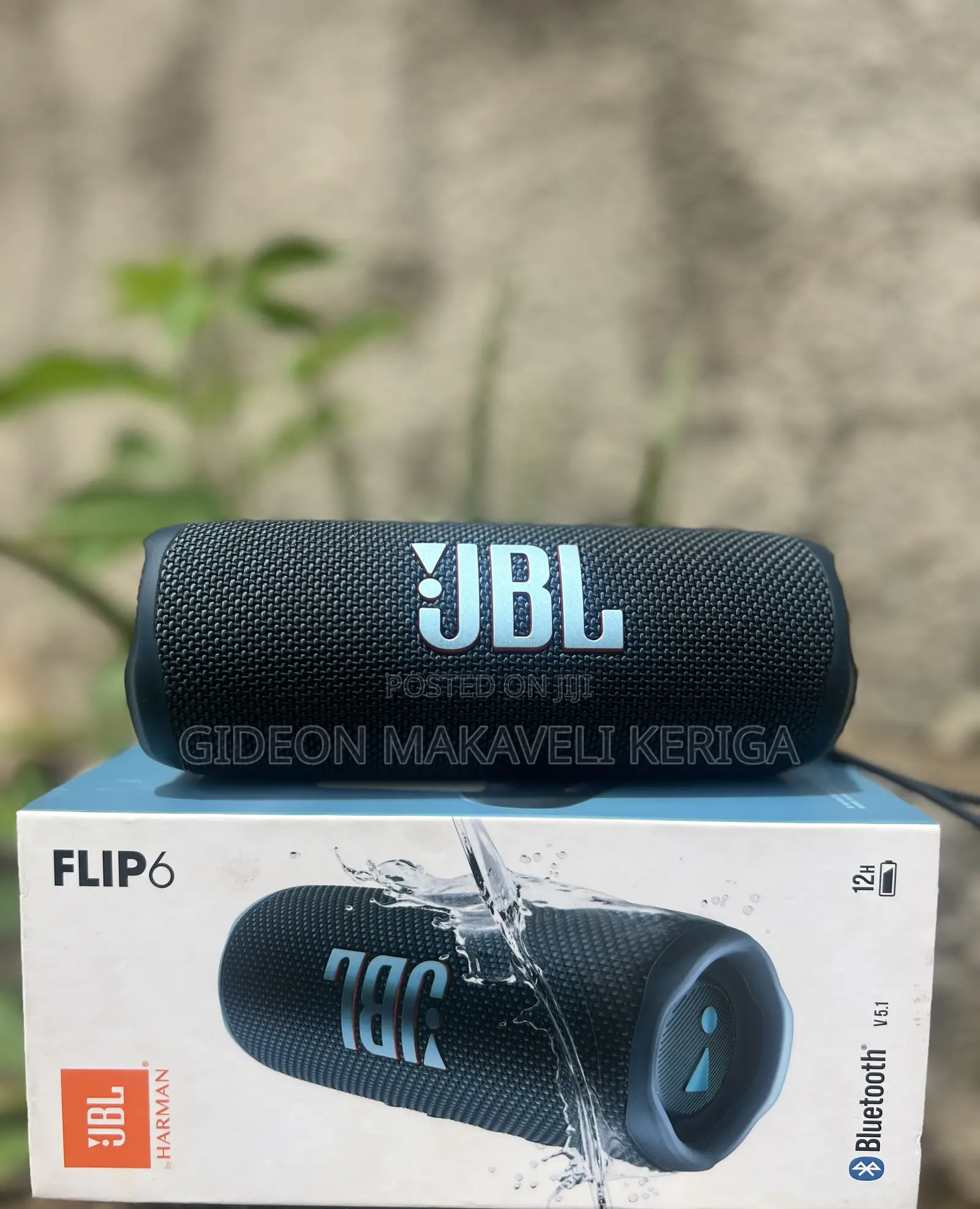 JBL Flip 6