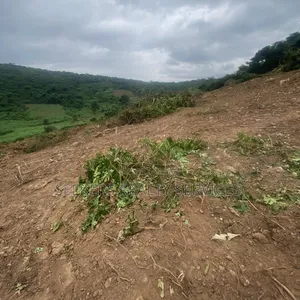  Hot Deal!Land for Sale at Aburi Obosomase
