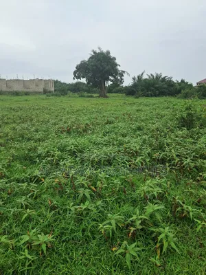 Half Plot of Land for Sale