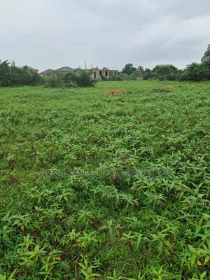 Half Plot of Land for Sale