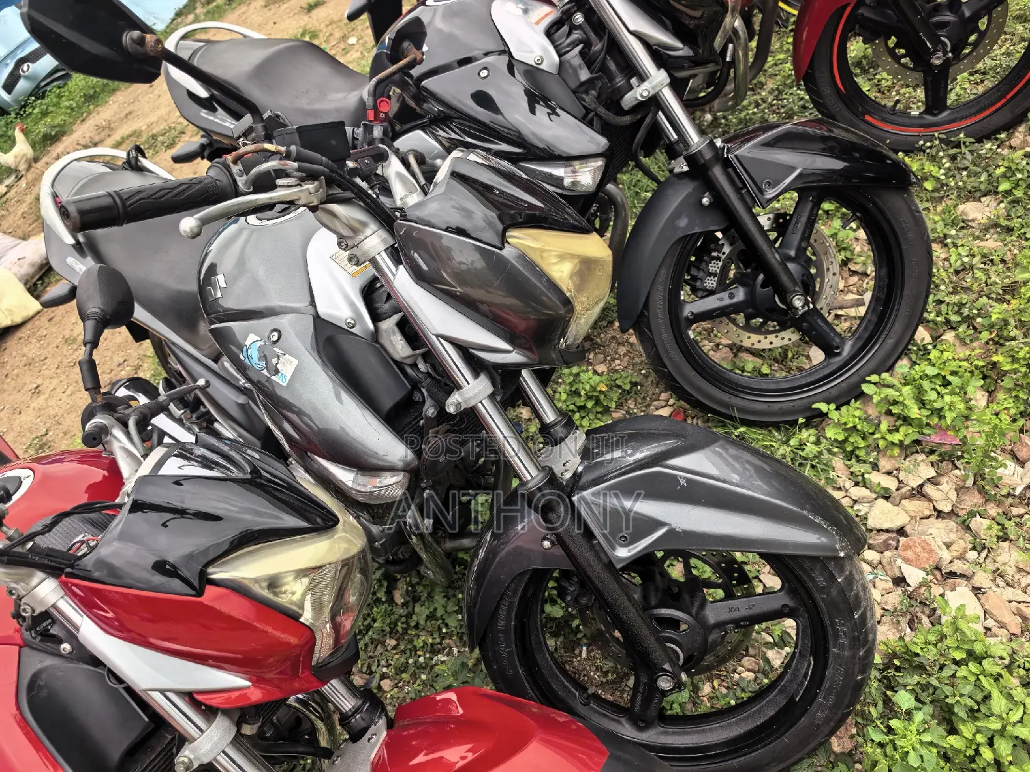 Suzuki GSR 2017