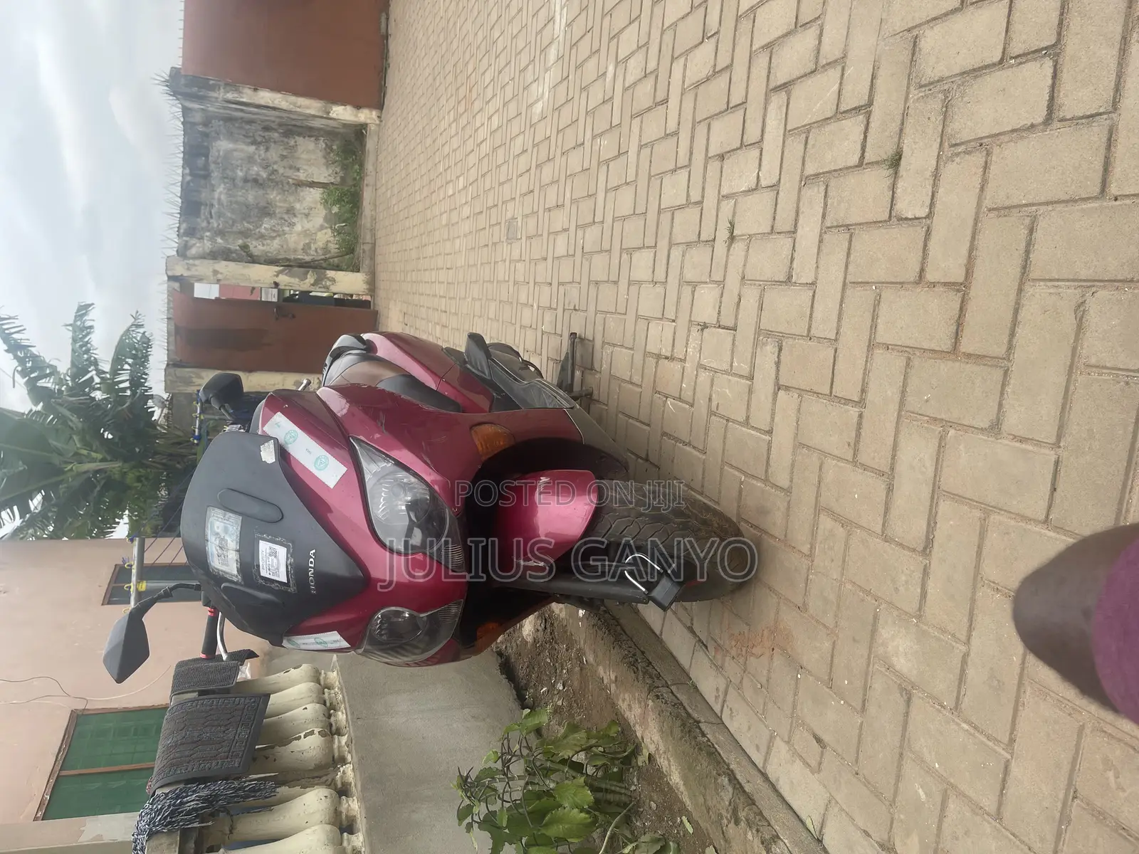 Honda 2010