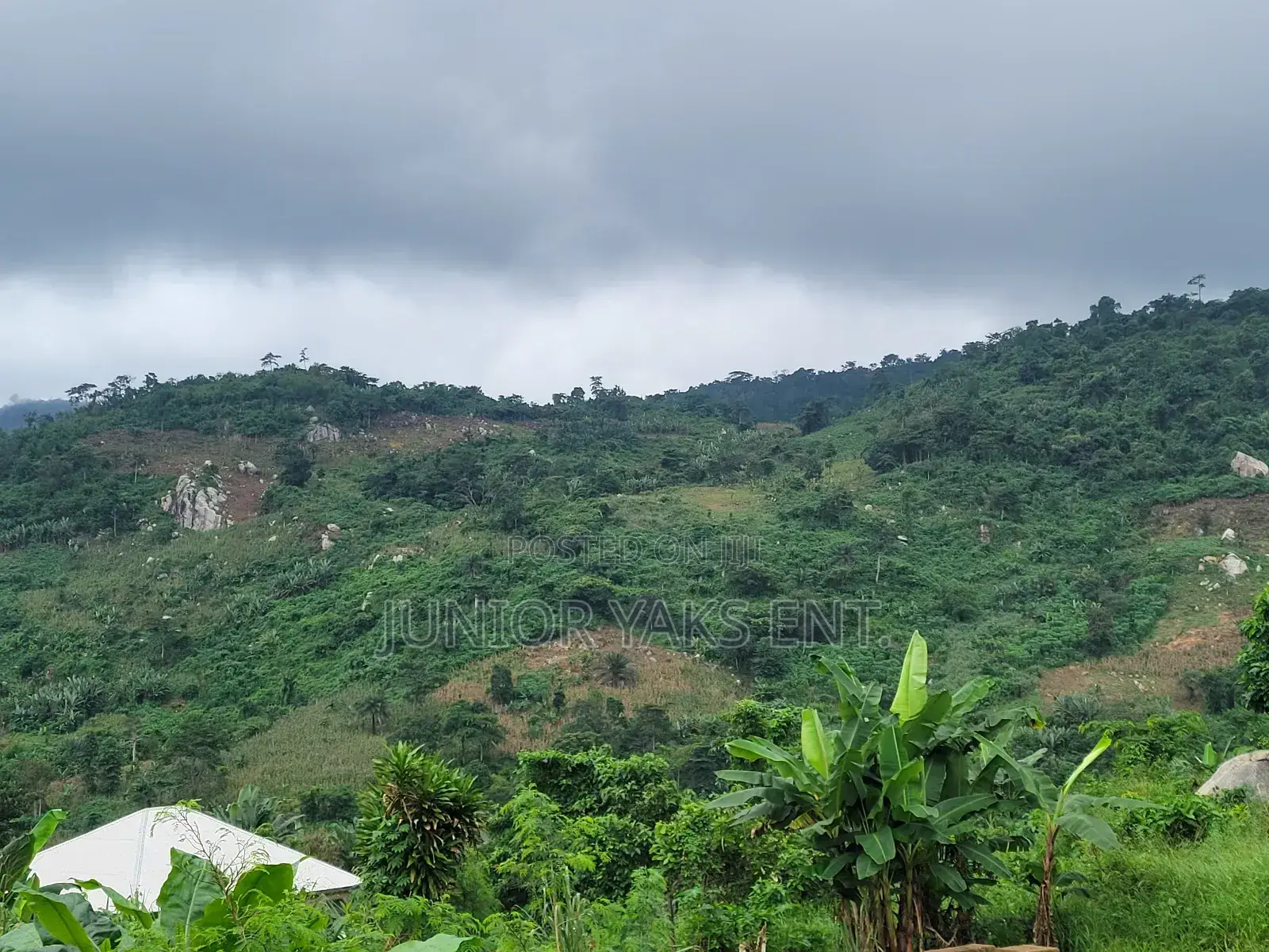 Half Plot for Sale