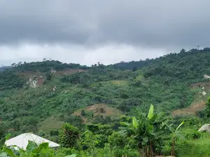 Half Plot for Sale