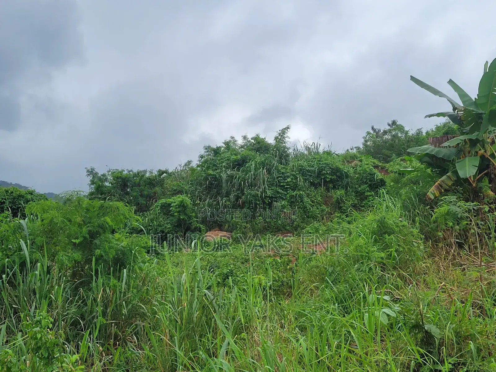 Half Plot for Sale