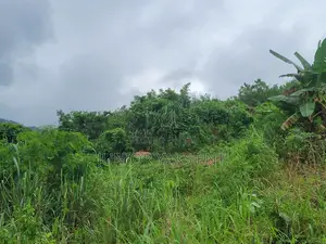 Half Plot for Sale