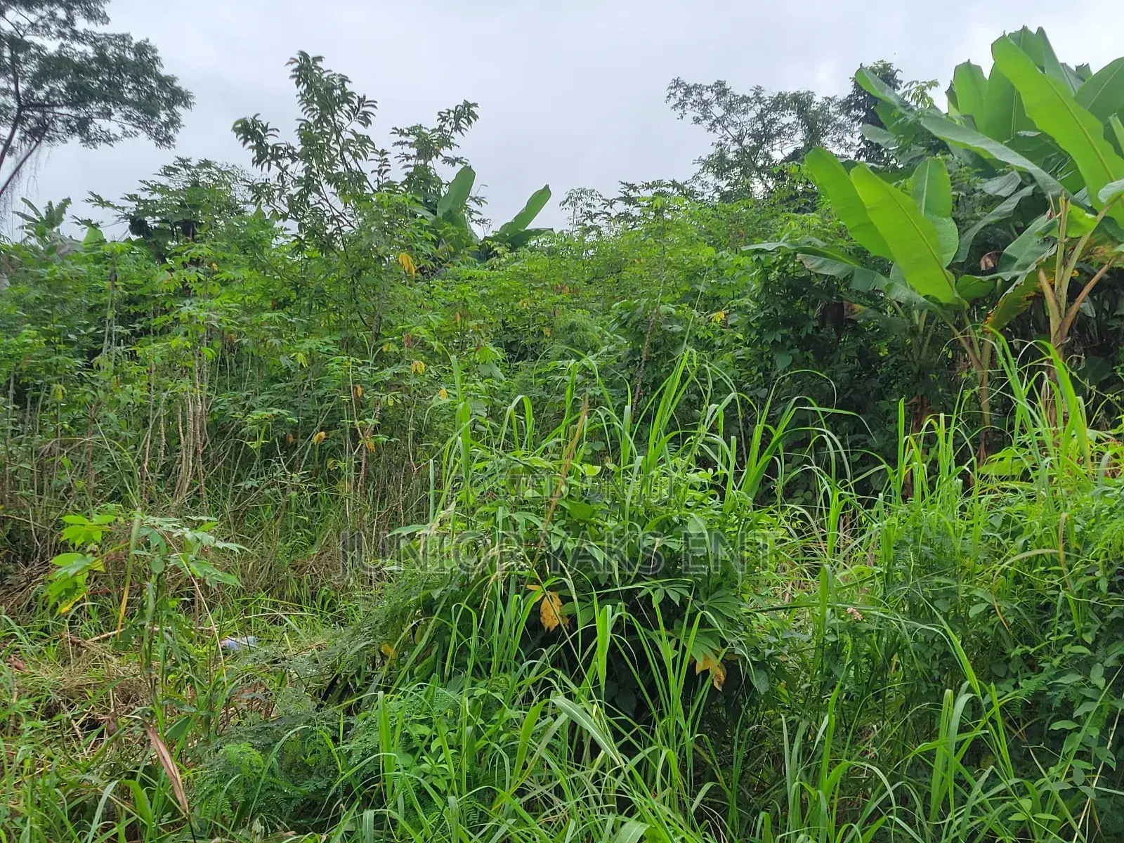 Half Plot for Sale