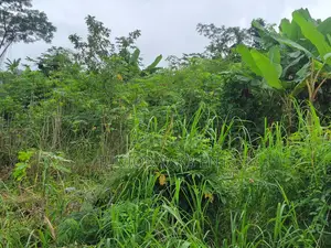 Half Plot for Sale