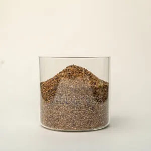 Quartz/Silica Sand