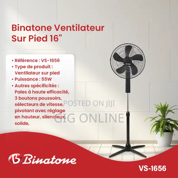 V Series Binatone Fan