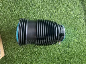 Mercedes Benz R22 Back Shocks