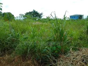 2 Plots of Land for Sale