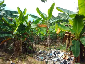 3 Plots of Land for Sale at Koforidua