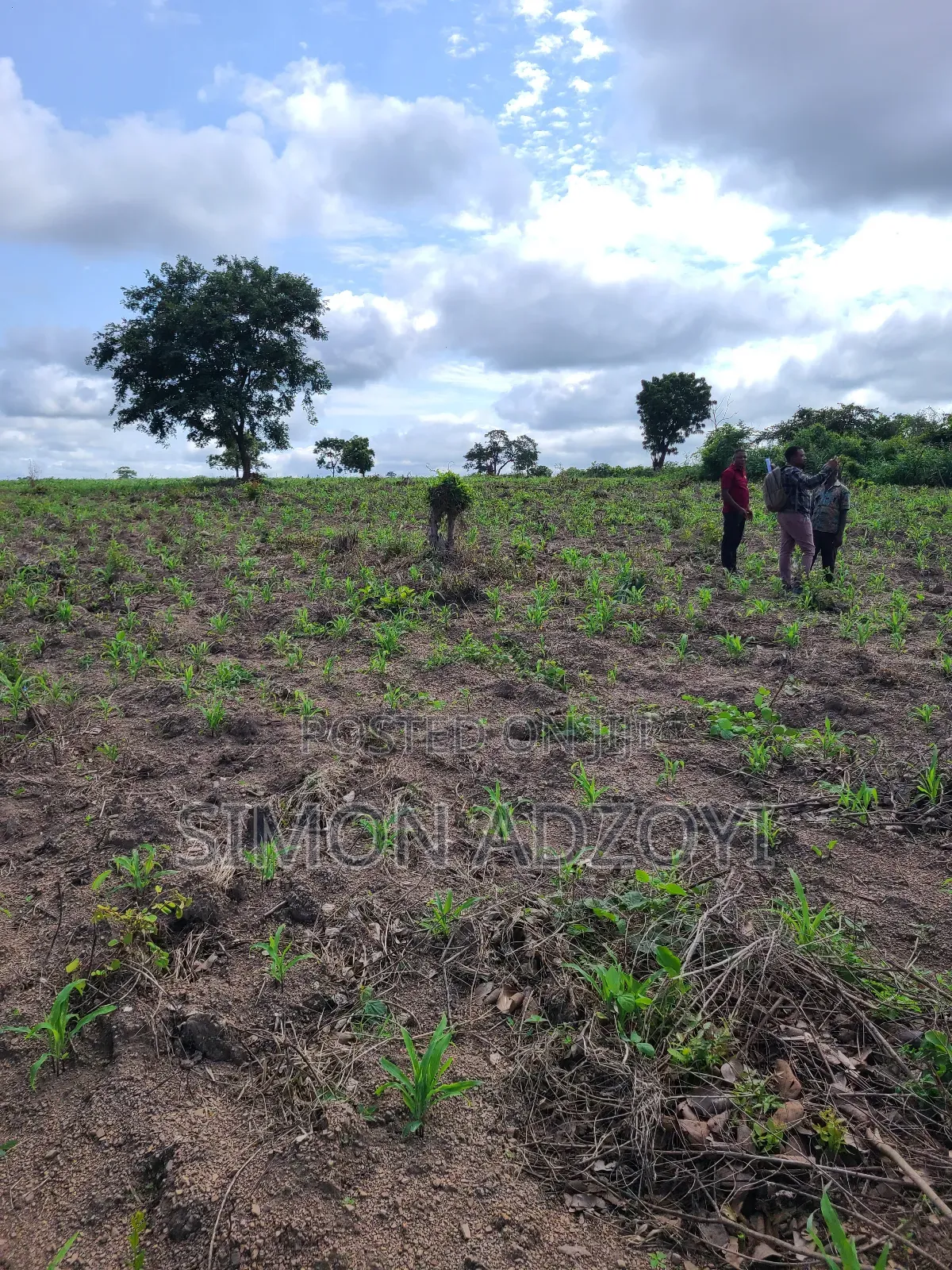 1000 Acres Available for Sale or Lease