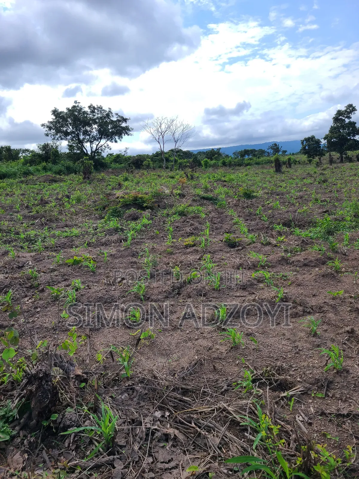 1000 Acres Available for Sale or Lease