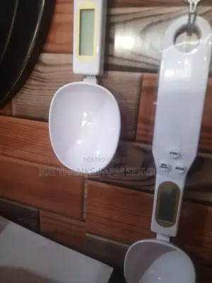Electronic Measuring Spoon